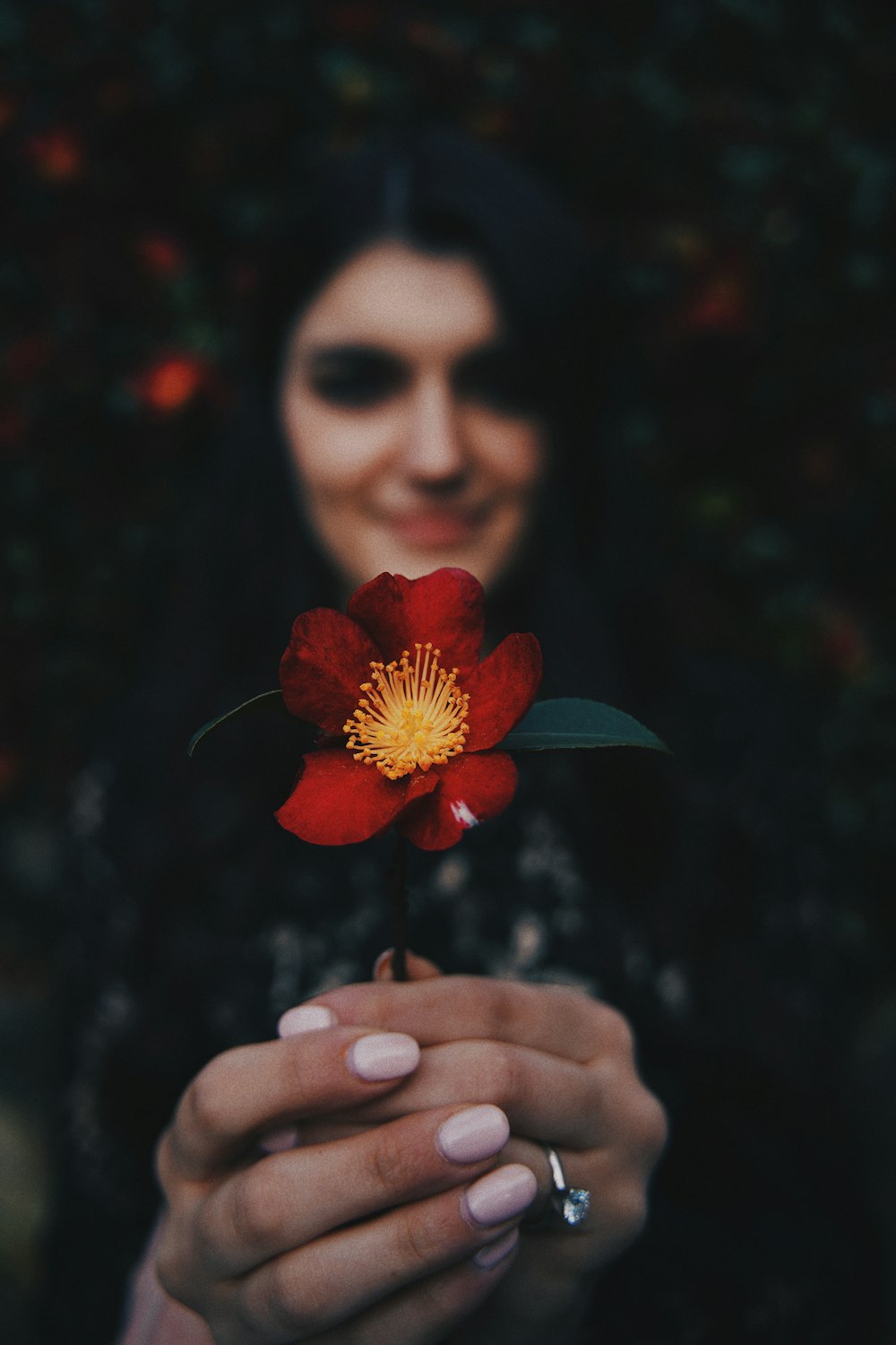 woman holding red flower in close up photography