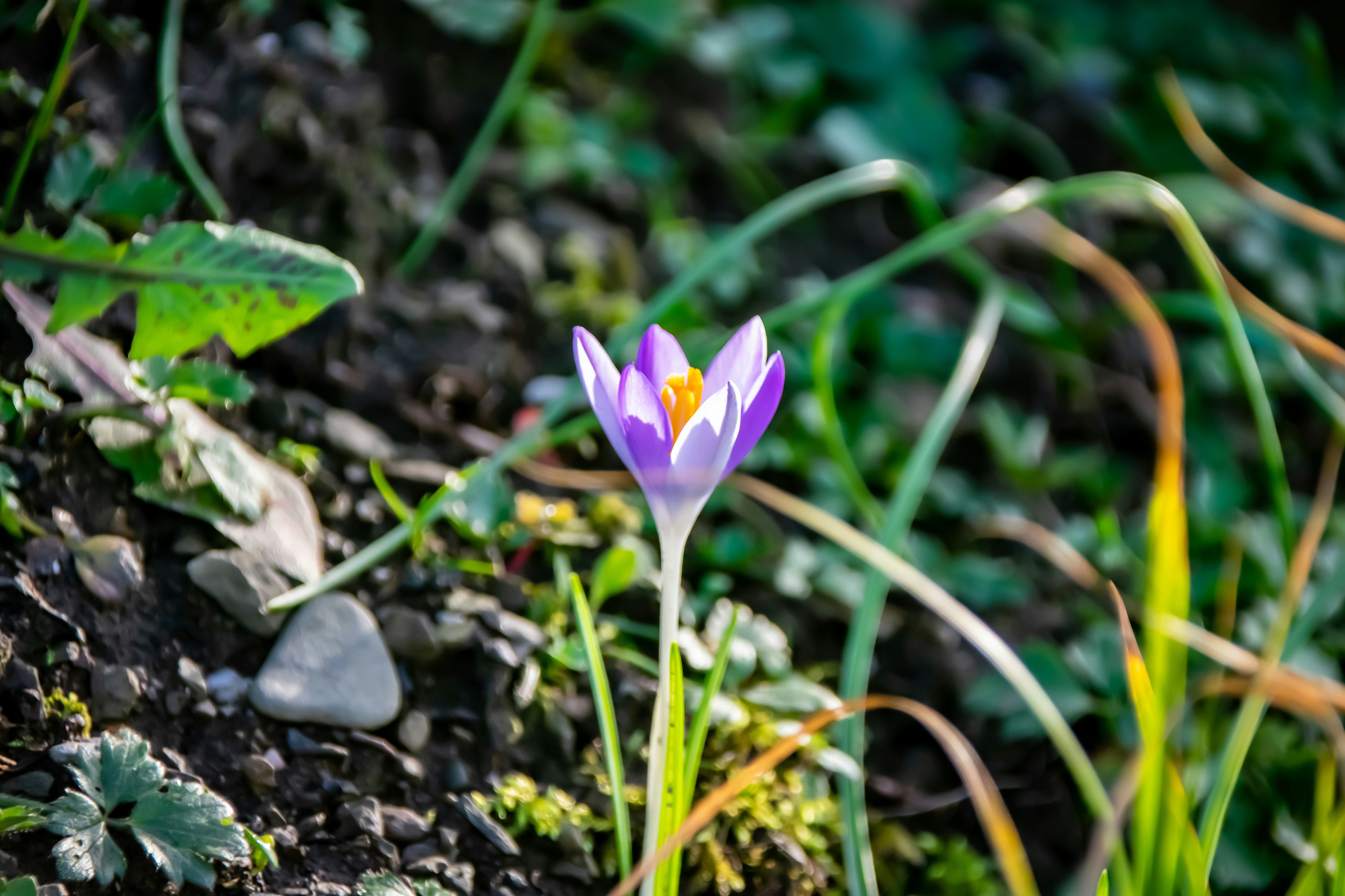 Photo by marc_renken