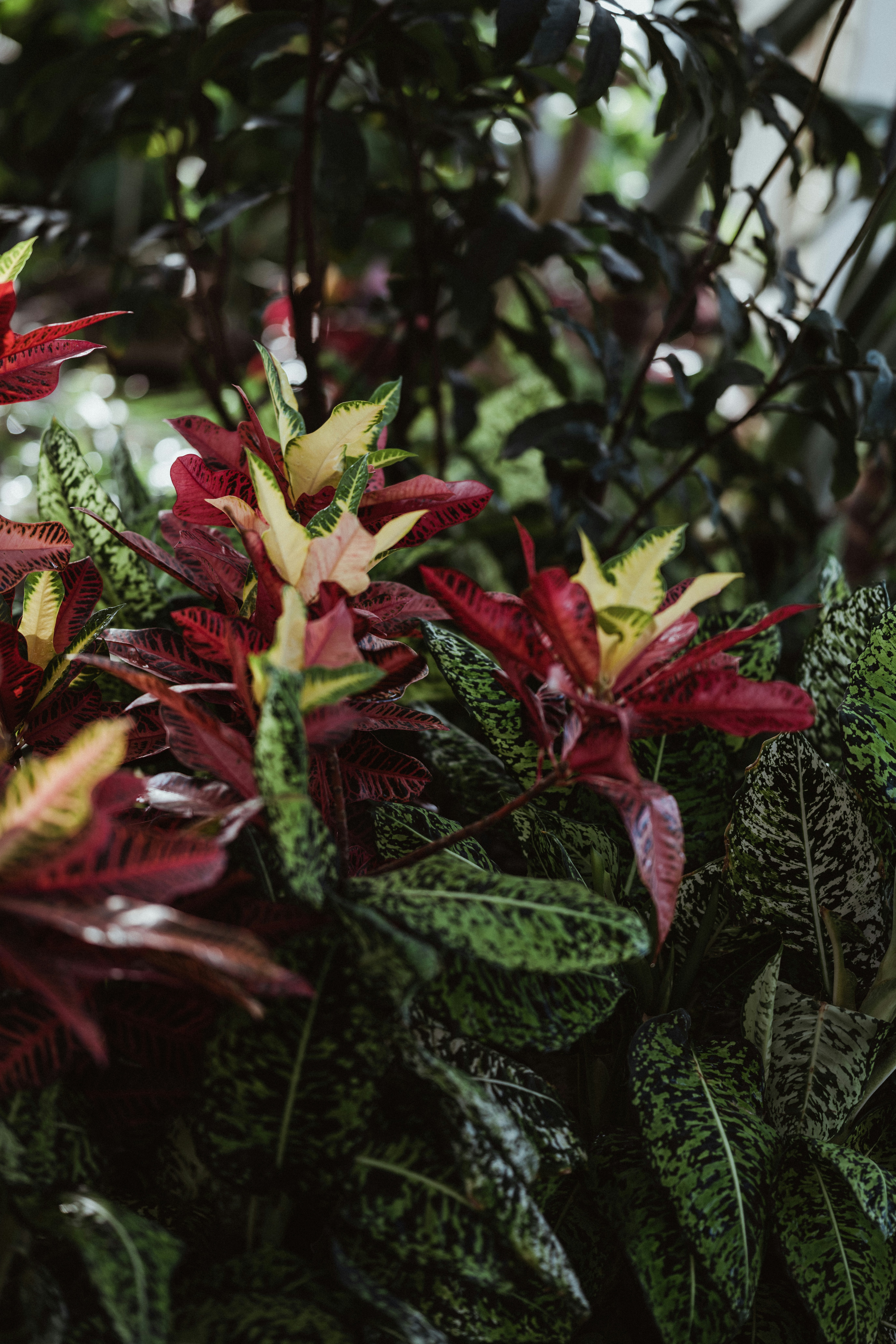 Photo by anniespratt