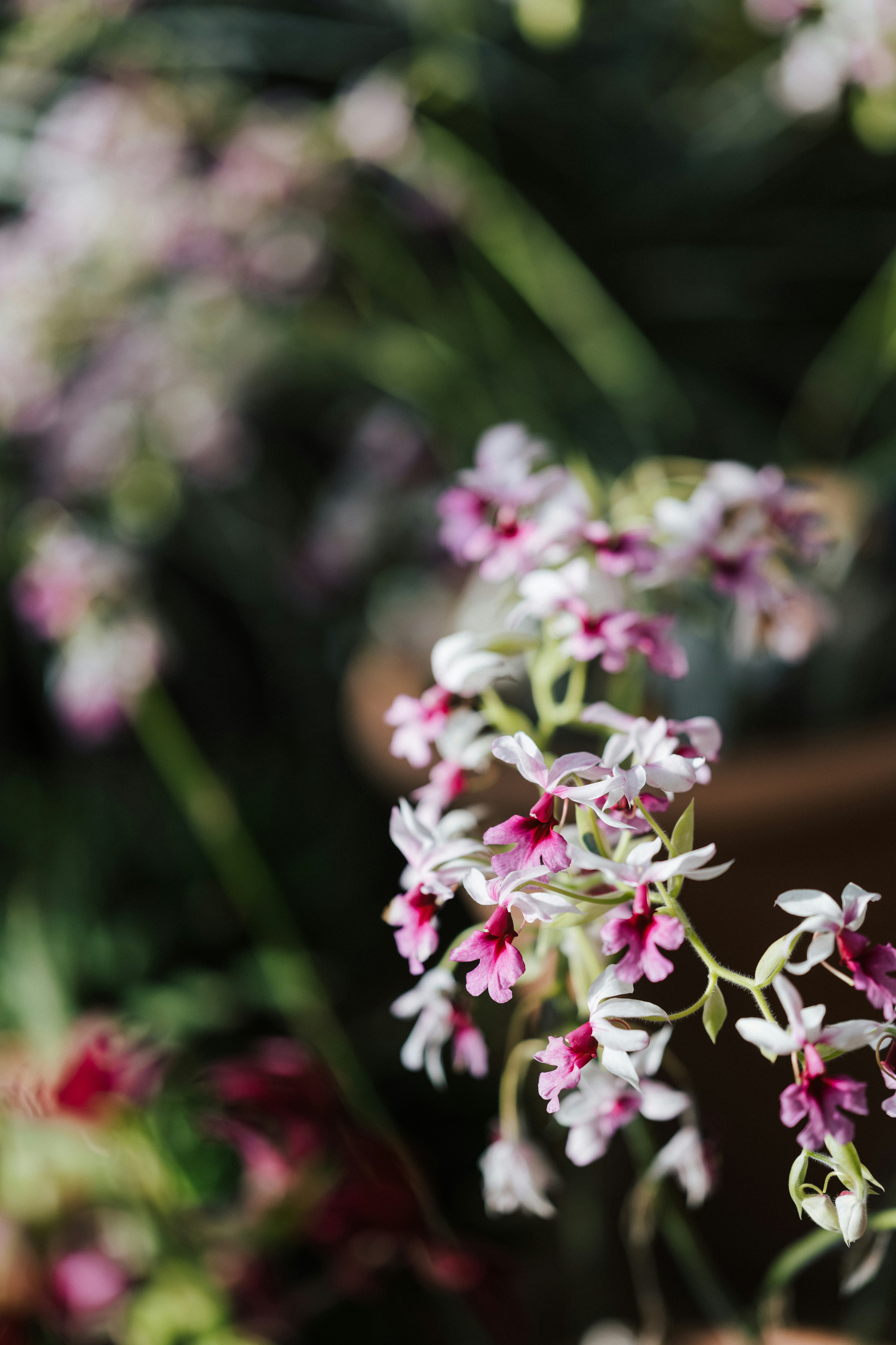 Photo by anniespratt