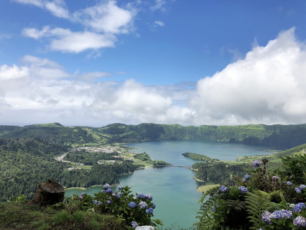 lago verde rodeado de árboles verdes bajo el cielo azul y nubes blancas durante el día