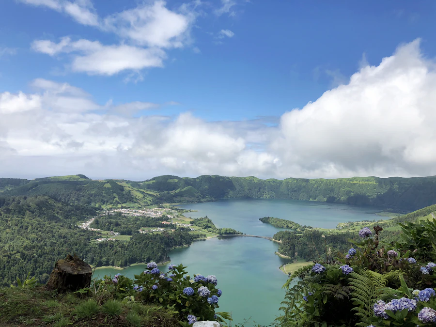 Green crater lake surrounded by forest