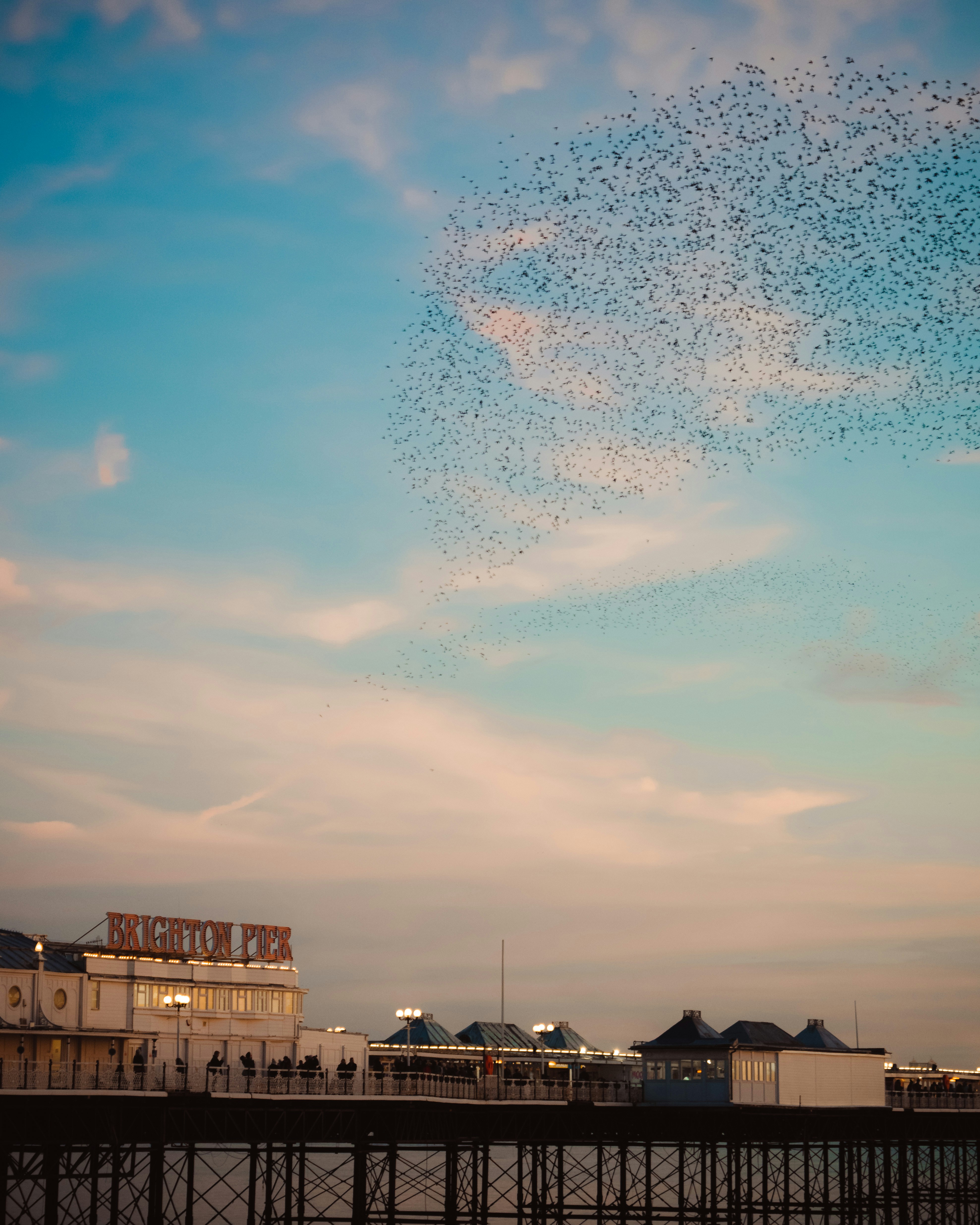 Unlocking The Power Of Swarms: A Comprehensive Guide | MyTech.Today