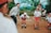 A group of children wearing school uniforms are holding hands and engaging in an outdoor activity with an adult. They appear to be happy and are smiling, with lush greenery and a rural setting in the background.
