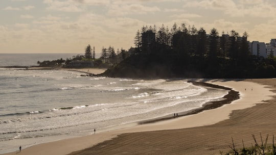 Greenmount Beach things to do in Coolangatta