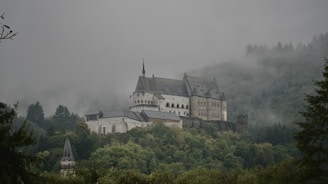 white and black castle surrounded by green trees under white sky during daytime
