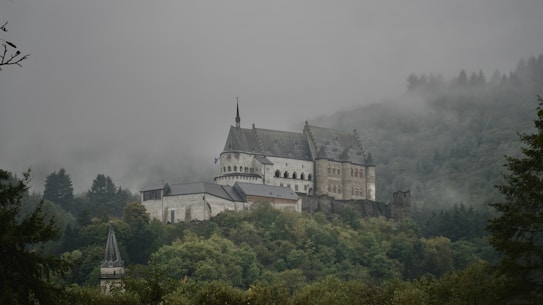 A large, historic castle sits atop a lush, green hill surrounded by mist. The structure features a prominent central tower with a pointed spire, and its walls are fortified and adorned with arched windows. Dense forest envelops the area, with trees visible beneath a layer of fog, enhancing a mysterious atmosphere.