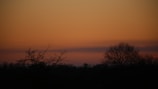 A serene landscape at sunset with silhouetted trees.