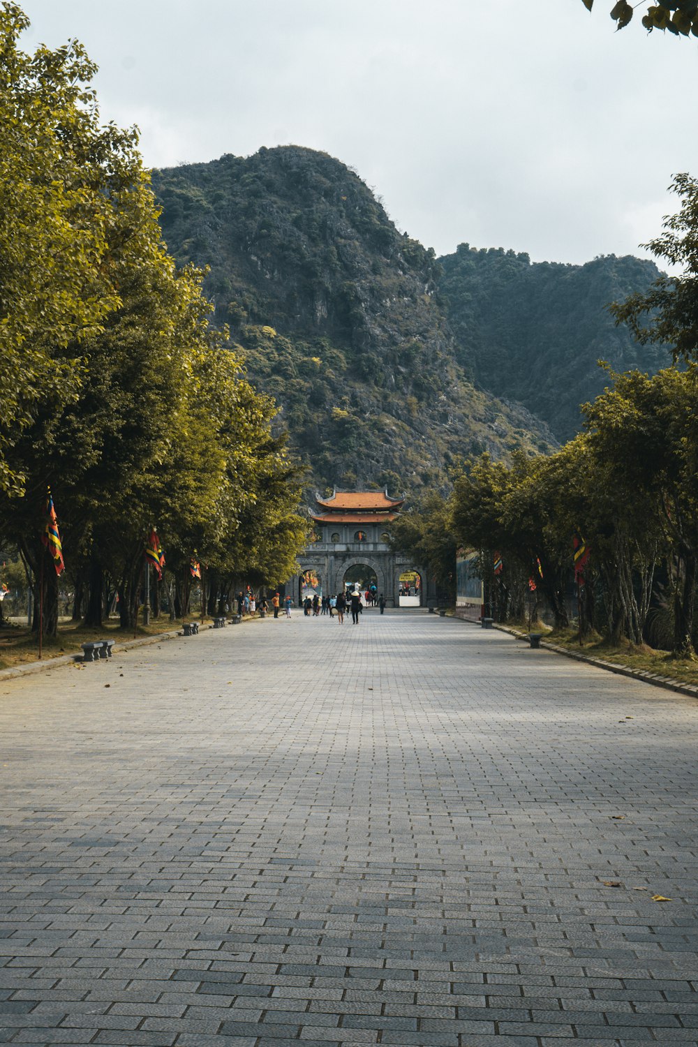 people walking on gray concrete road near green trees during daytime