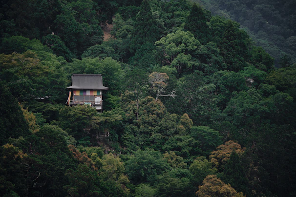 A cozy nook with rivendell-inspired architecture nestled among towering trees.