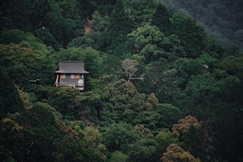 A small, rustic building with a traditional design is nestled among dense, verdant forest. The lush greenery envelops the structure, creating a serene and secluded atmosphere.