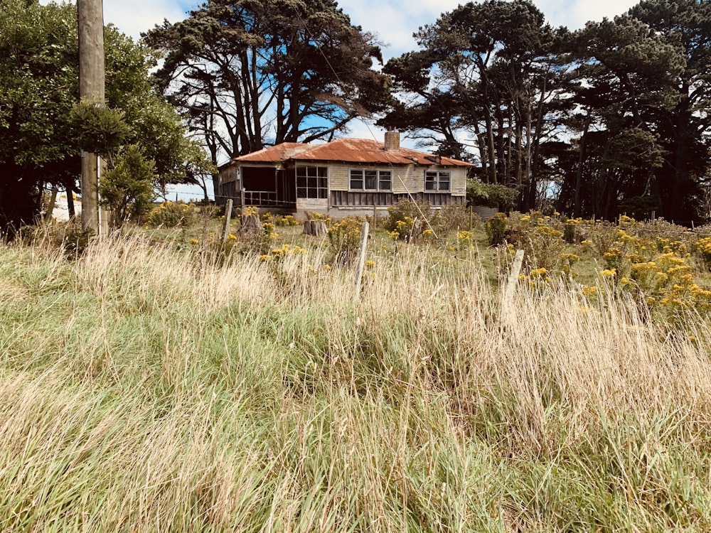 casa marrom e branca cercada por grama verde e árvores