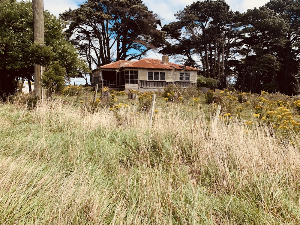 Casa marrone e bianca circondata da erba verde e alberi