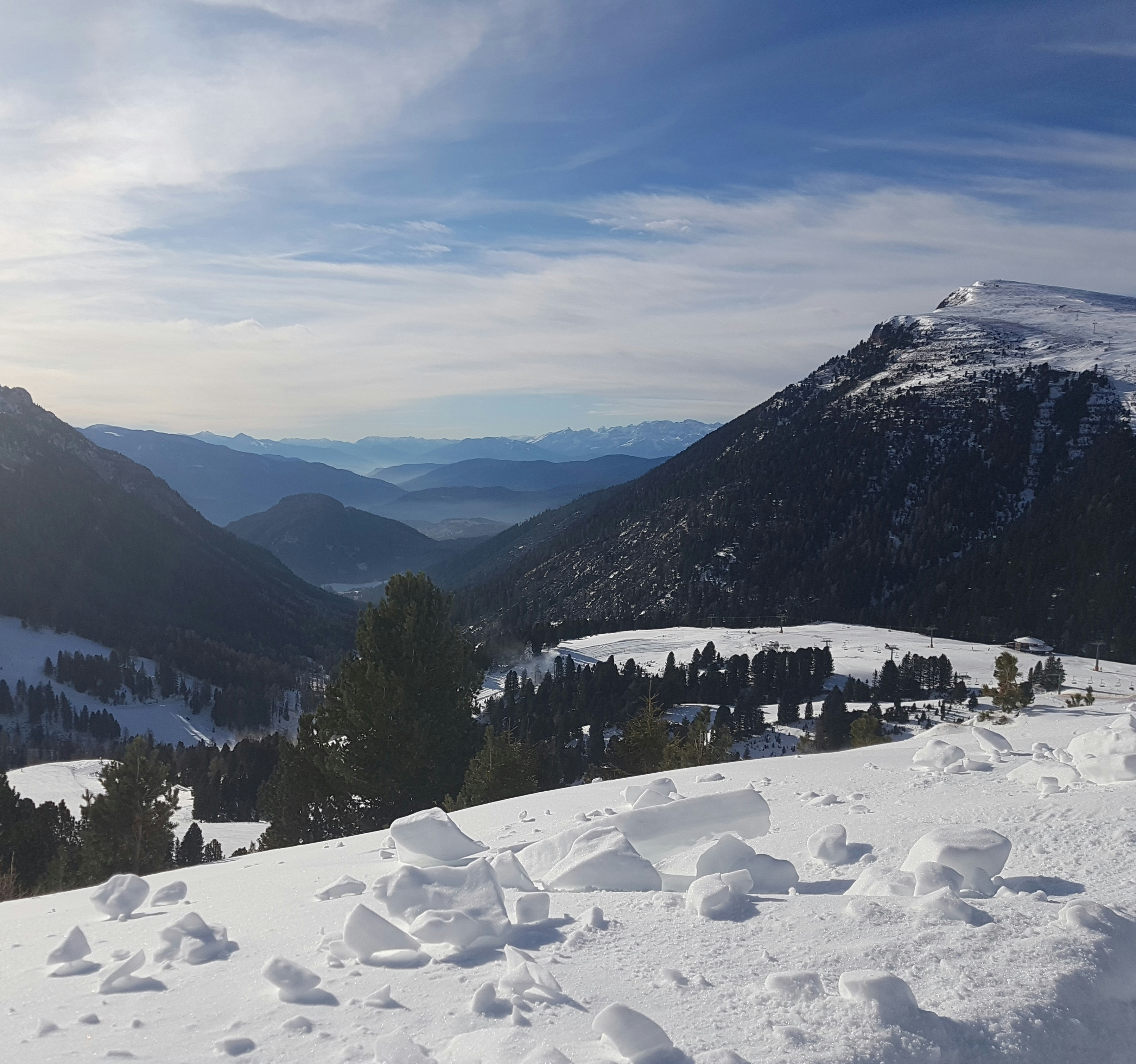green pine trees on snow covered ground near mountain during daytime