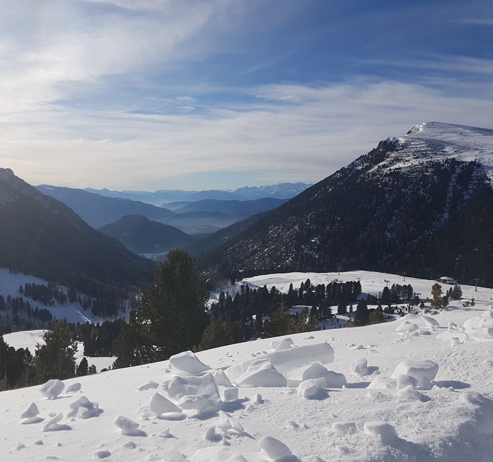 green pine trees on snow covered ground near mountain during daytime