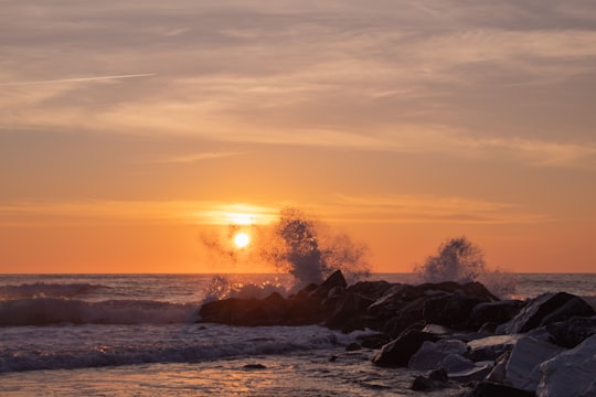 silhouette of trees near body of water during sunset in Levanto Italy