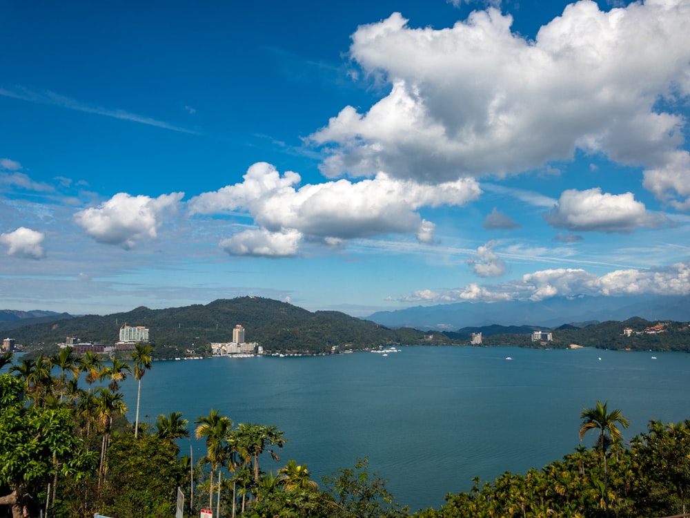 green trees near body of water under blue sky and white clouds during daytime