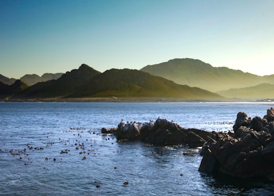 brown rock formation on sea during daytime in Pringle Bay South Africa