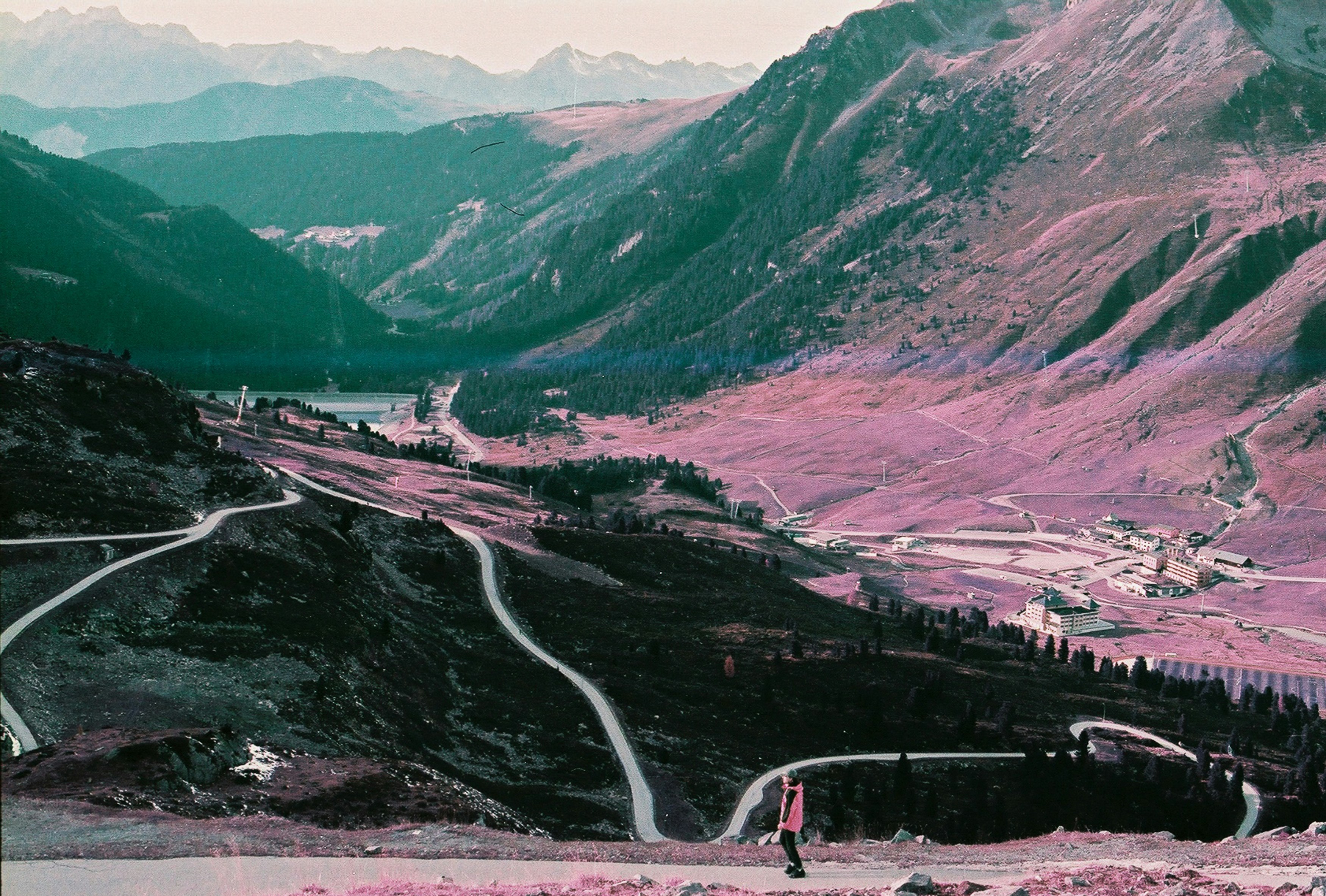Man walking between the purple mountains