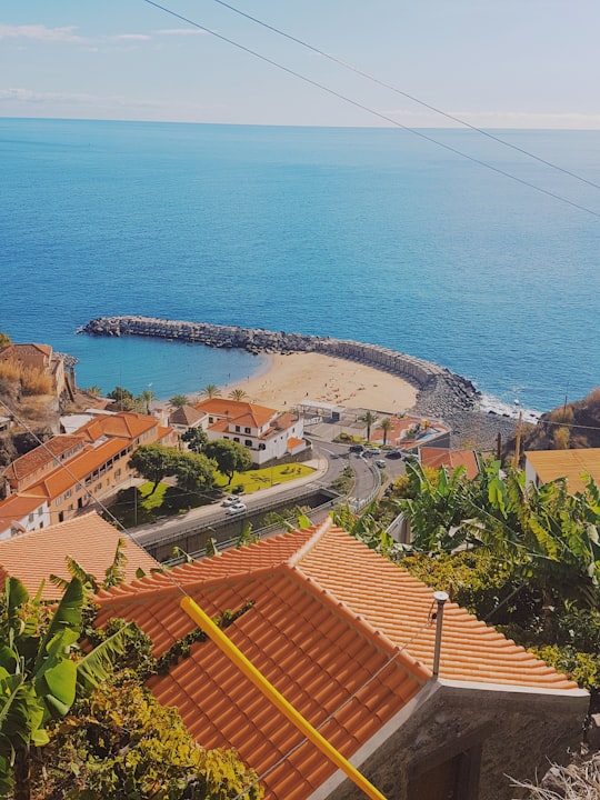 aerial view of houses near sea during daytime in Madeira Portugal