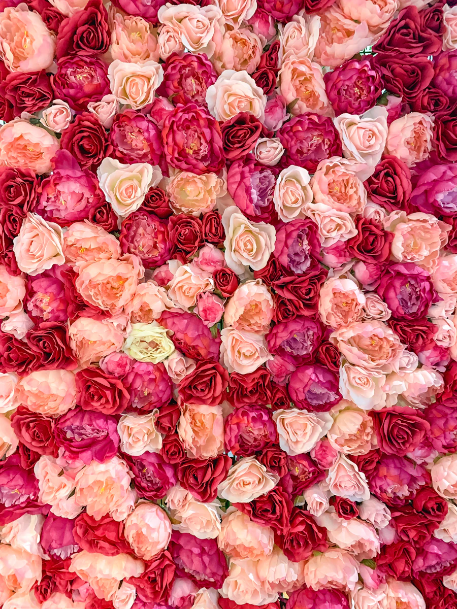 A dense wall of pink and peach roses