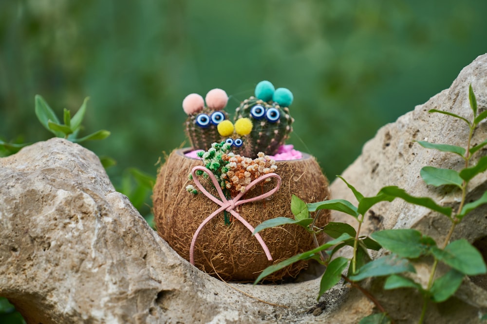 brown and blue egg on brown rock