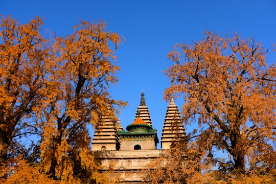 brown concrete building near brown trees during daytime in Five Pagoda Temple China