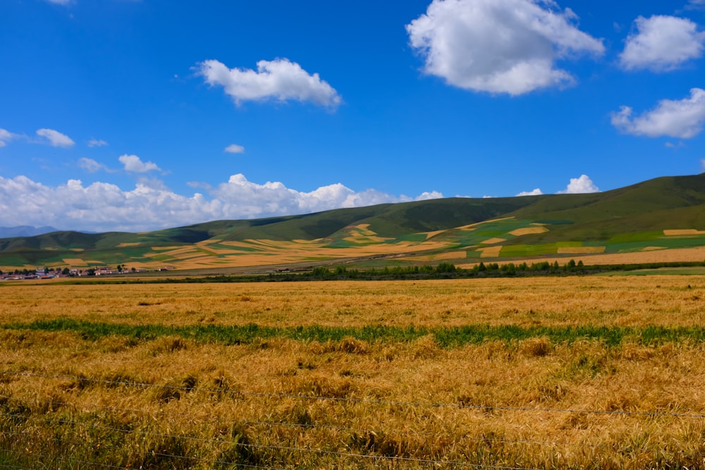 a large field of grass with a mountain in the background