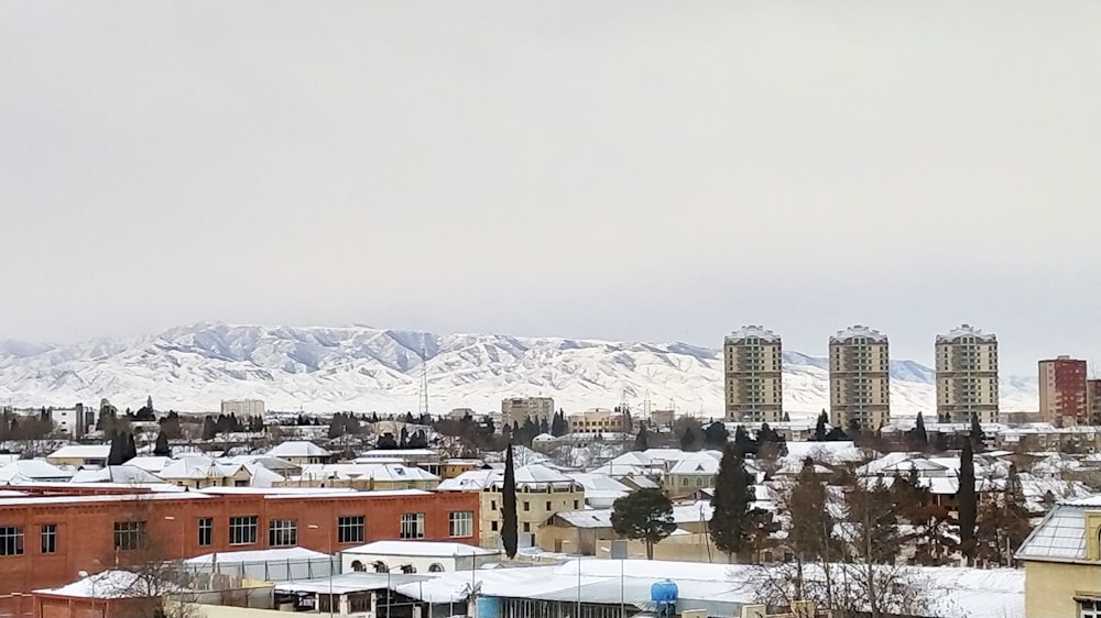 brown and white concrete buildings during daytime