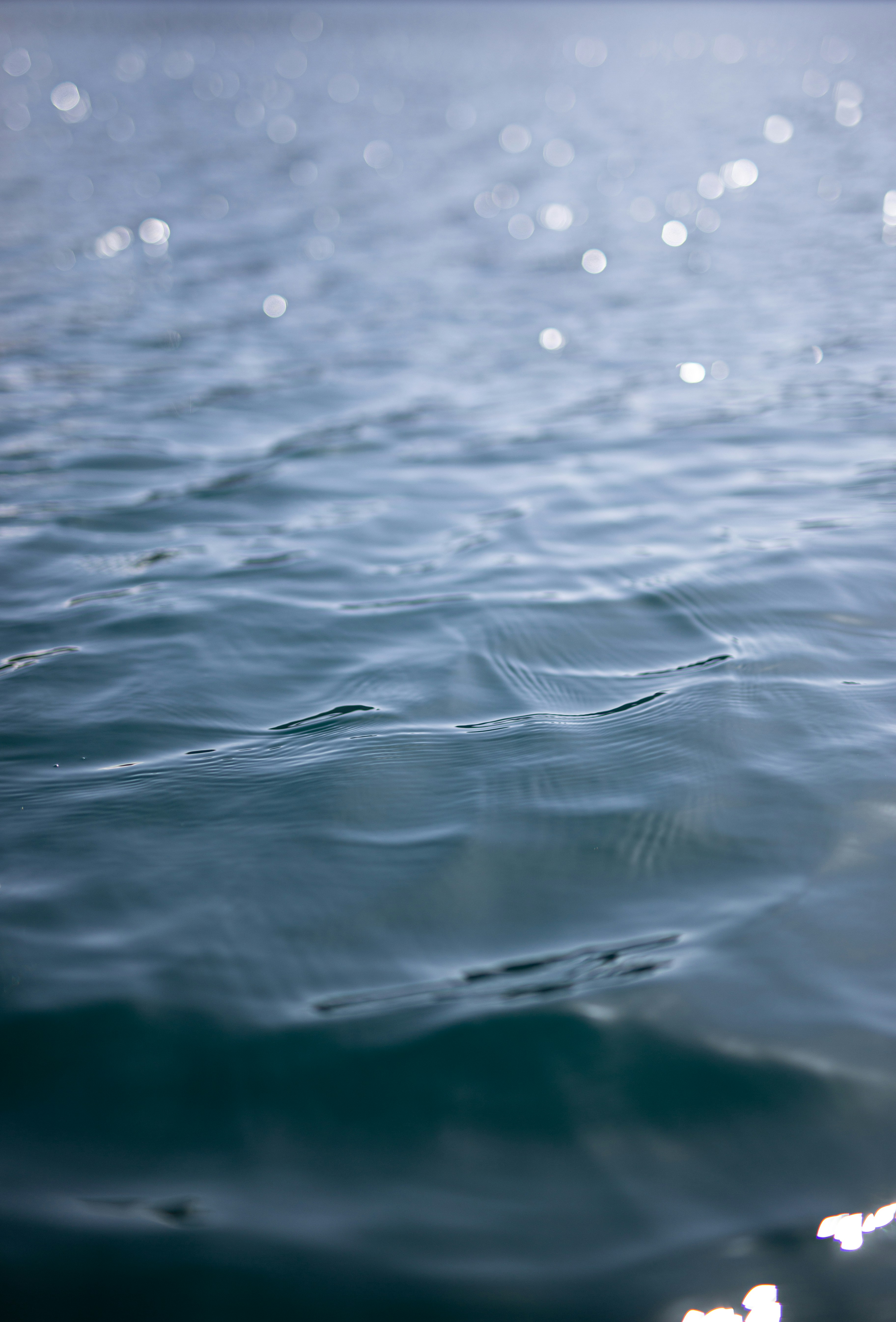 Photo by vinomamba24