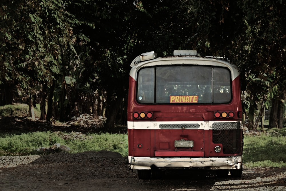 red and white bus on the road