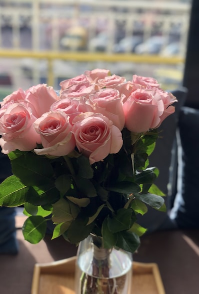 pink roses in close up photography