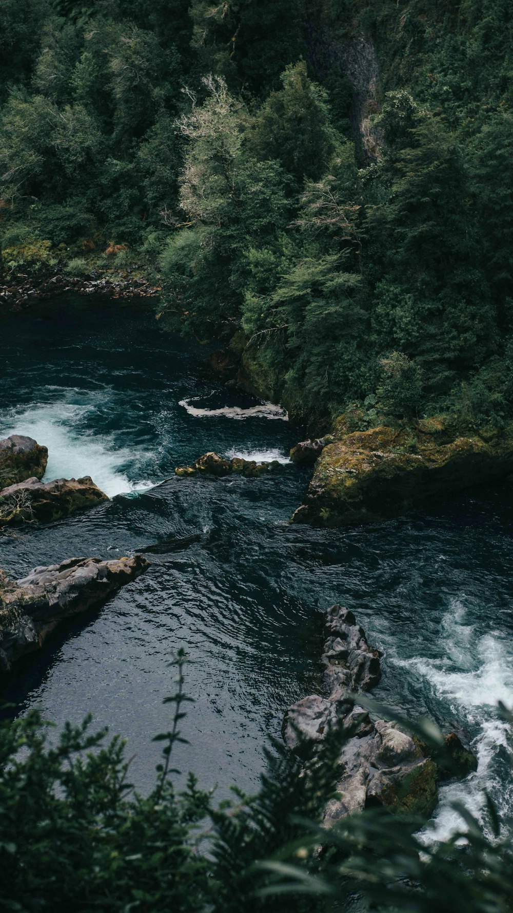 green moss on rocky river