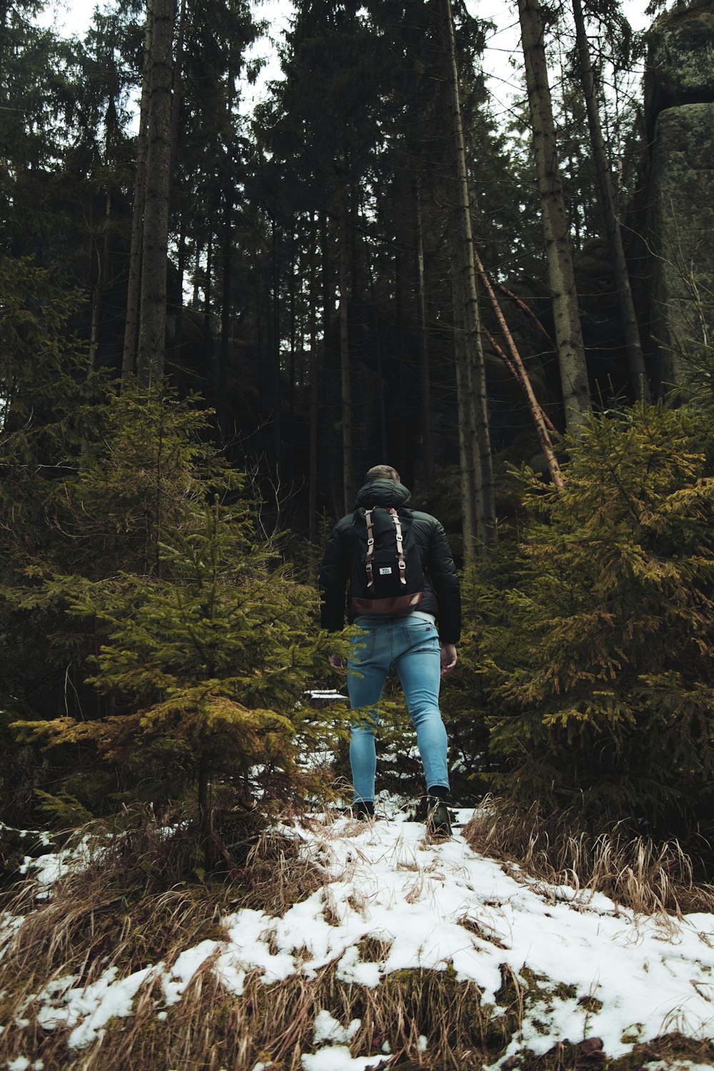 woman in black jacket and blue denim jeans walking on forest during daytime