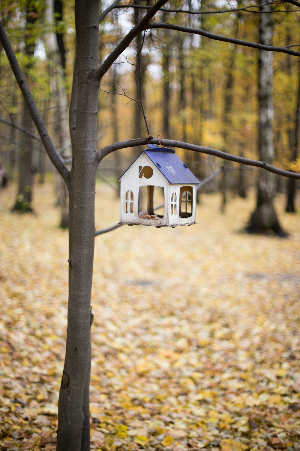 white and brown wooden bird house on brown tree branch during daytime