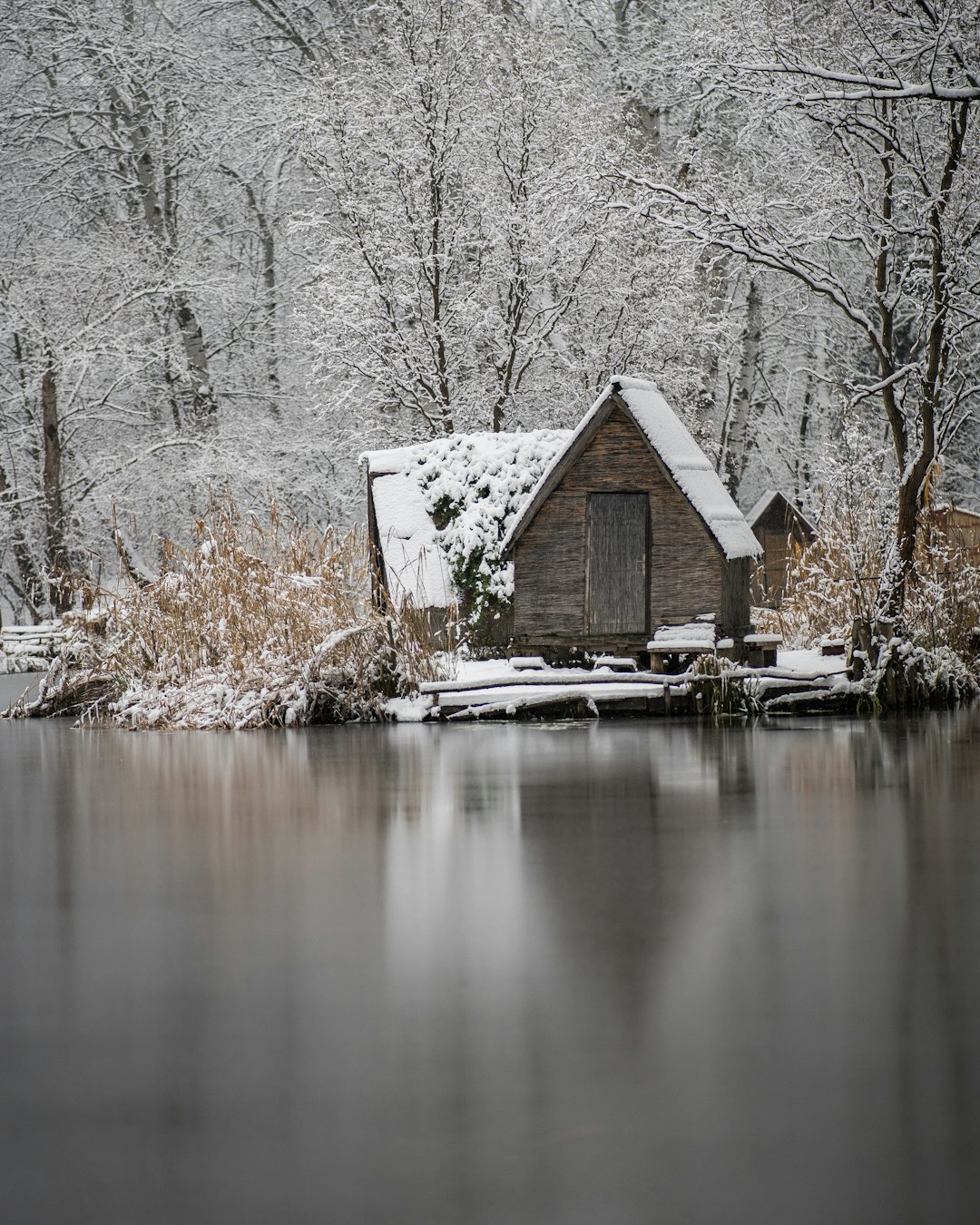 brown wooden house near lake during daytime