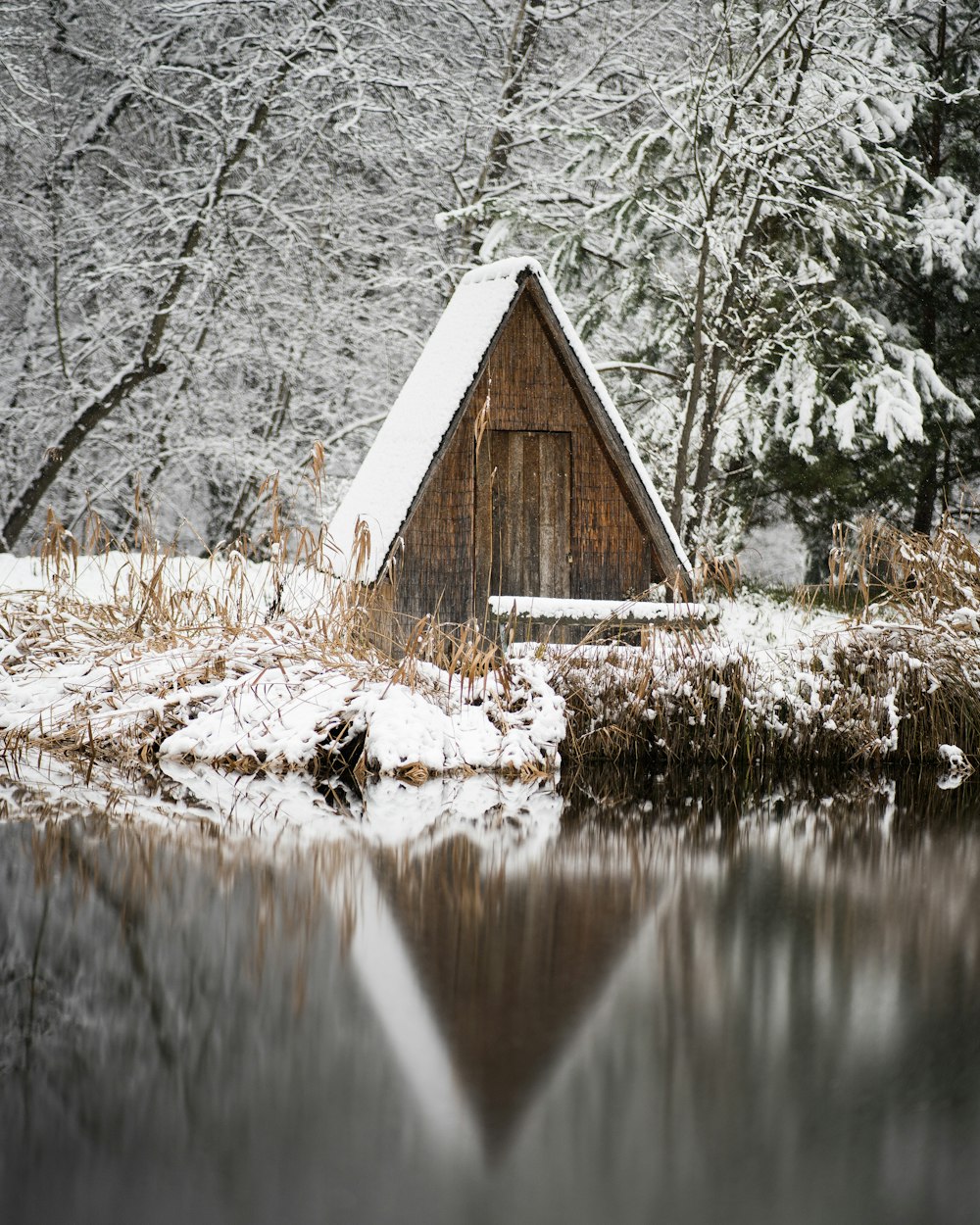 brown wooden house near body of water during daytime