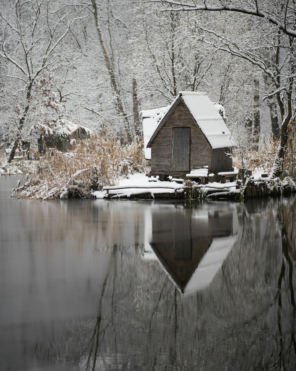 brown wooden house near lake during daytime