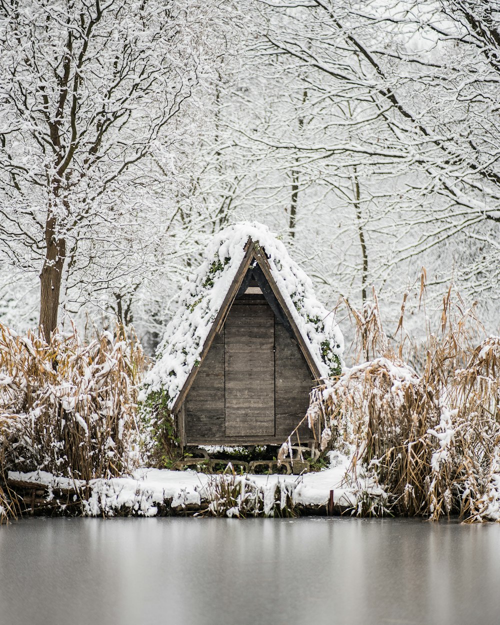 brown wooden house on snow covered ground near bare trees during daytime