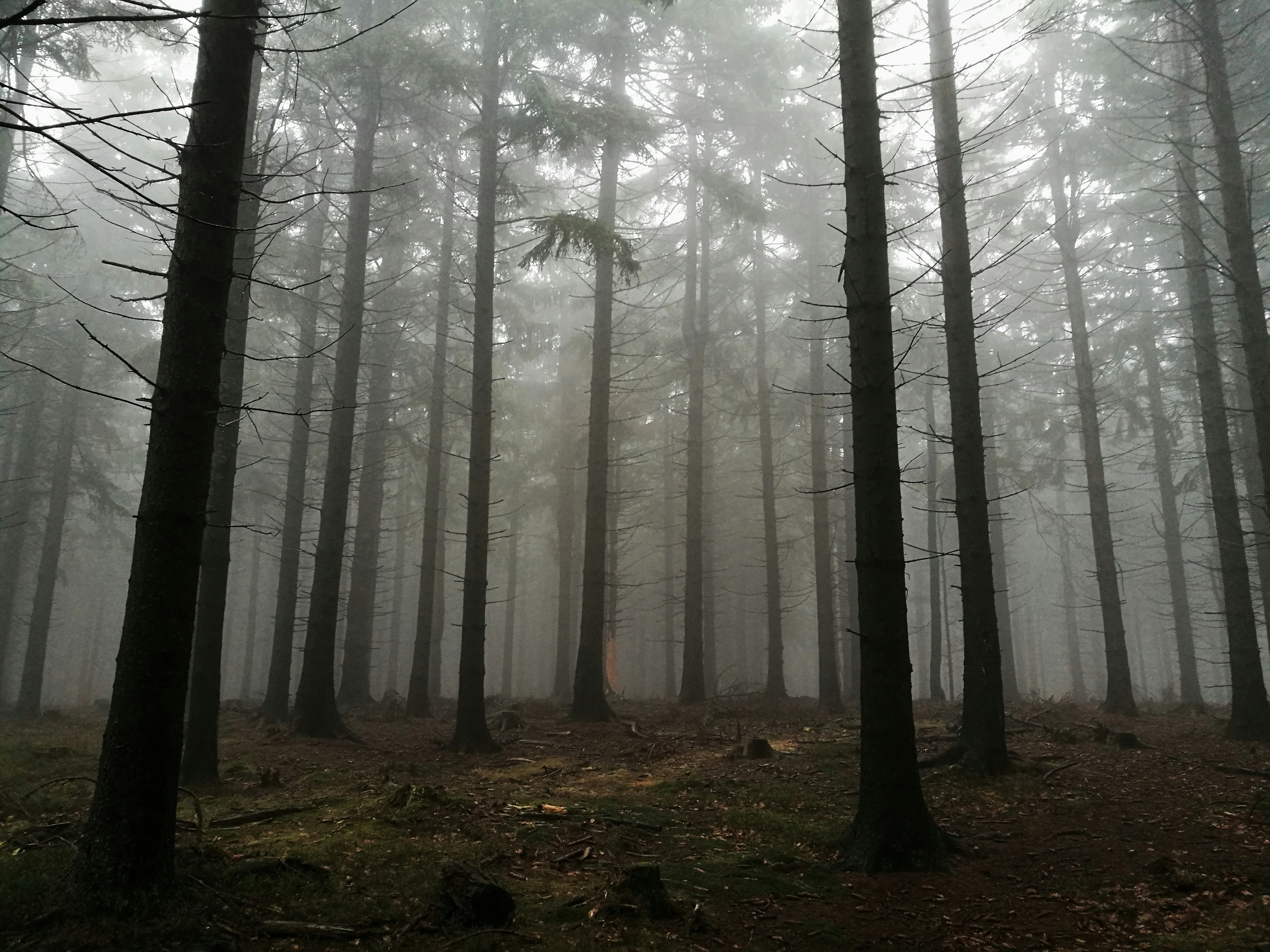 Photo by nathalie_st