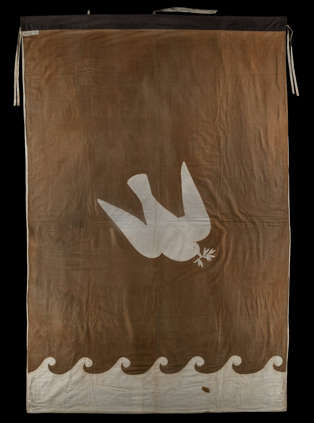 pássaro branco na placa de madeira marrom