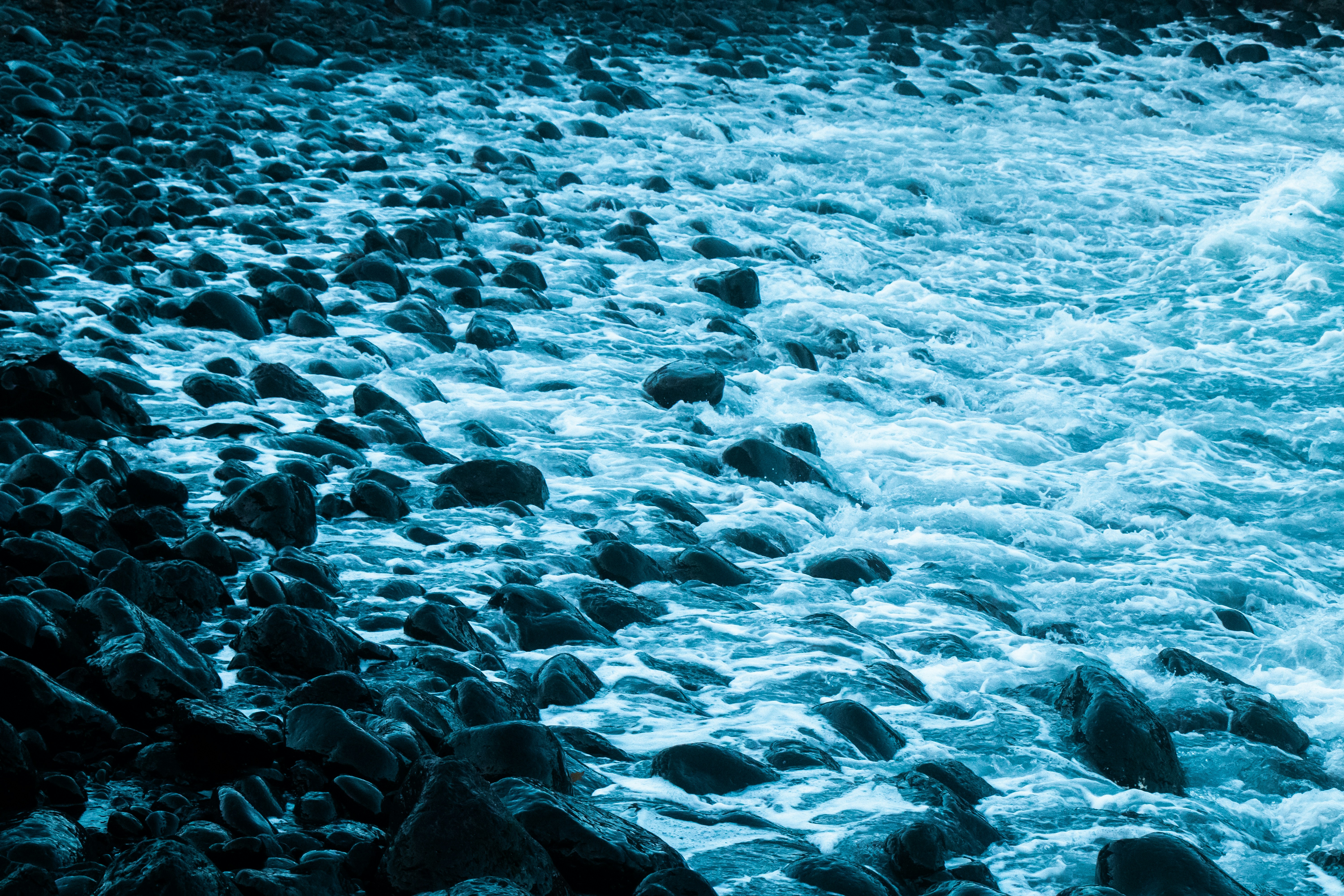 대홍수 결말 해석: 인류 멸망과 이모션 엔진 실험이 시사하는 신인류의 탄소중립 이미지2