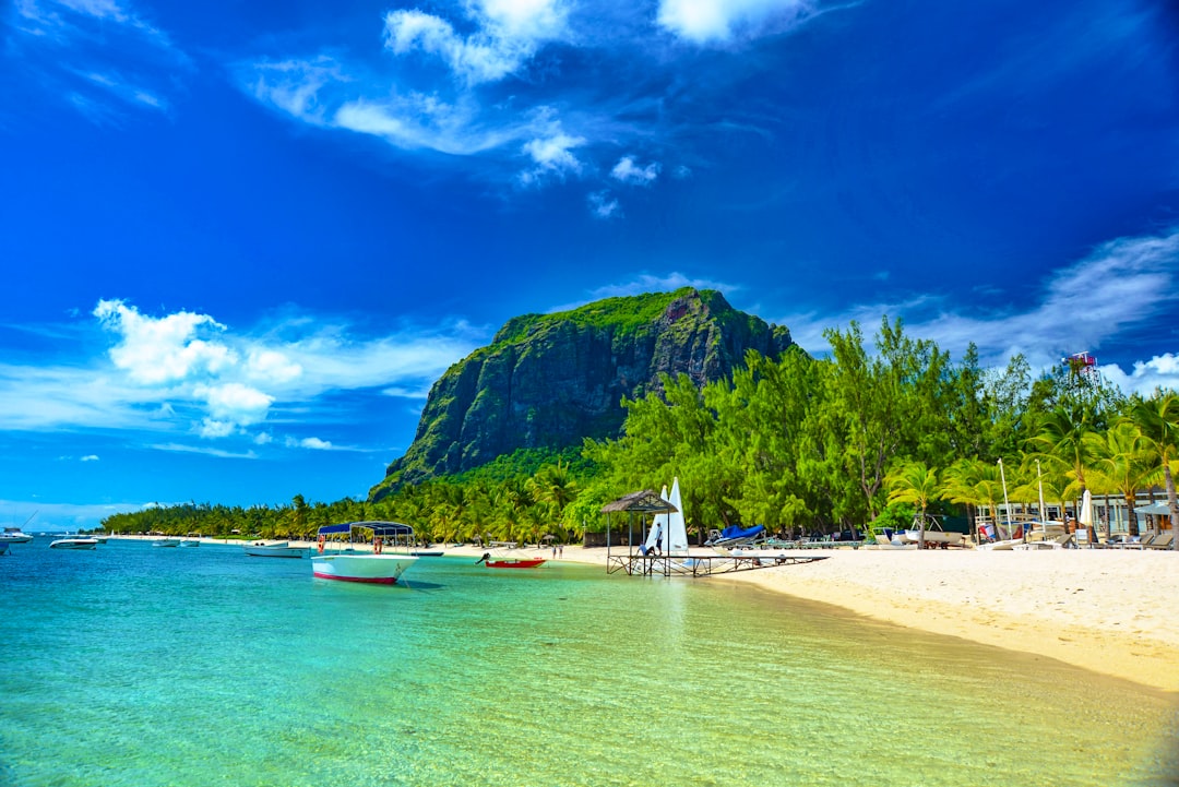 boats on sea shore near green mountain under blue sky during daytime