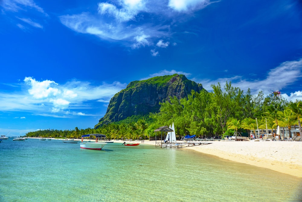 boats on sea shore near green mountain under blue sky during daytime