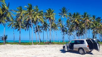 A happy family loading luggage into an SUV with the sea and palm trees behind.