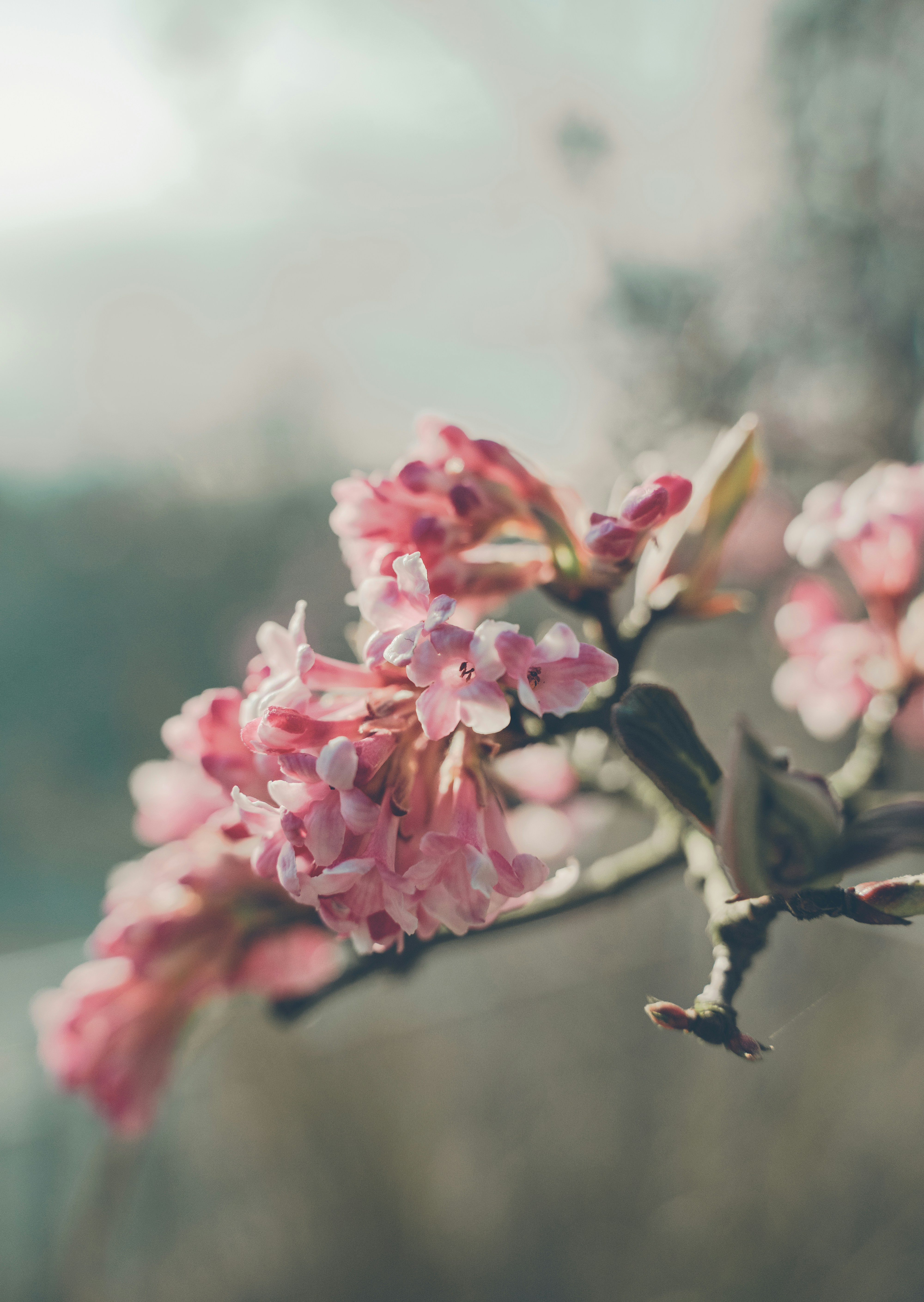 Photo by janik_clicks