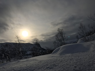A moody, cinematic portrait of Winter Sonata bathed in soft burgundy lighting.