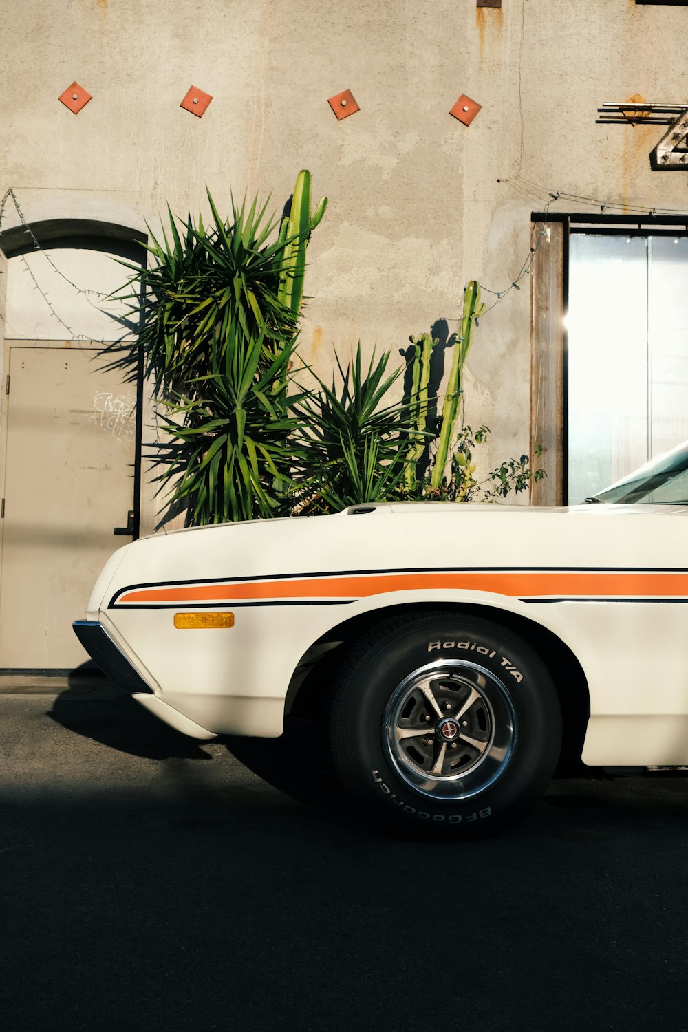 Chevrolet Camaro blanche et brune garée à côté d’un palmier vert pendant la journée