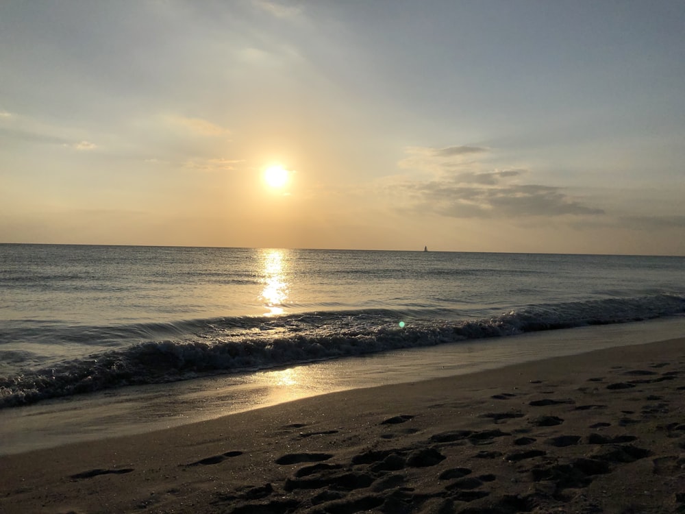 people on beach during sunset