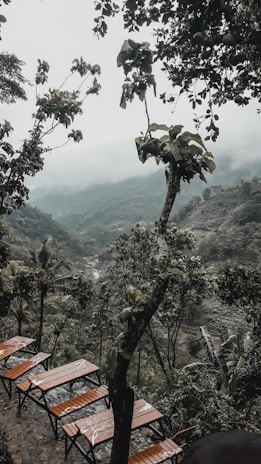Outdoor seating area surrounded by lush greenery and views of the Santander hills.